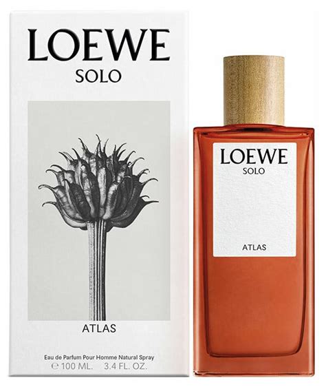 loewe solo atlas.